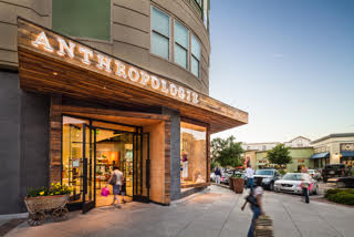 la palmera anthropologie